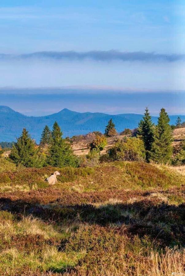 Gite De Montagne -Bellefosse Alsace Exteriör bild