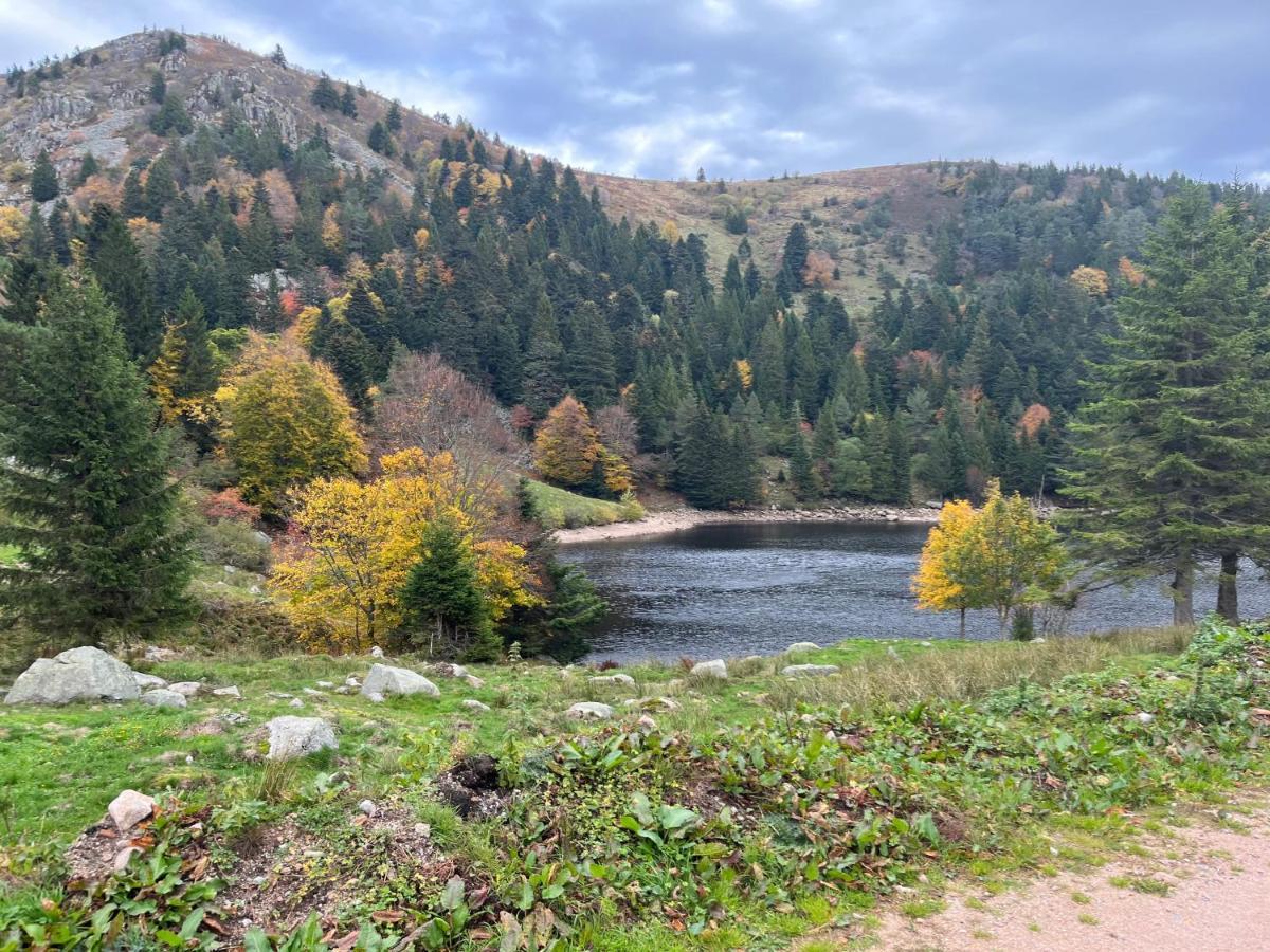 Gite De Montagne -Bellefosse Alsace Exteriör bild