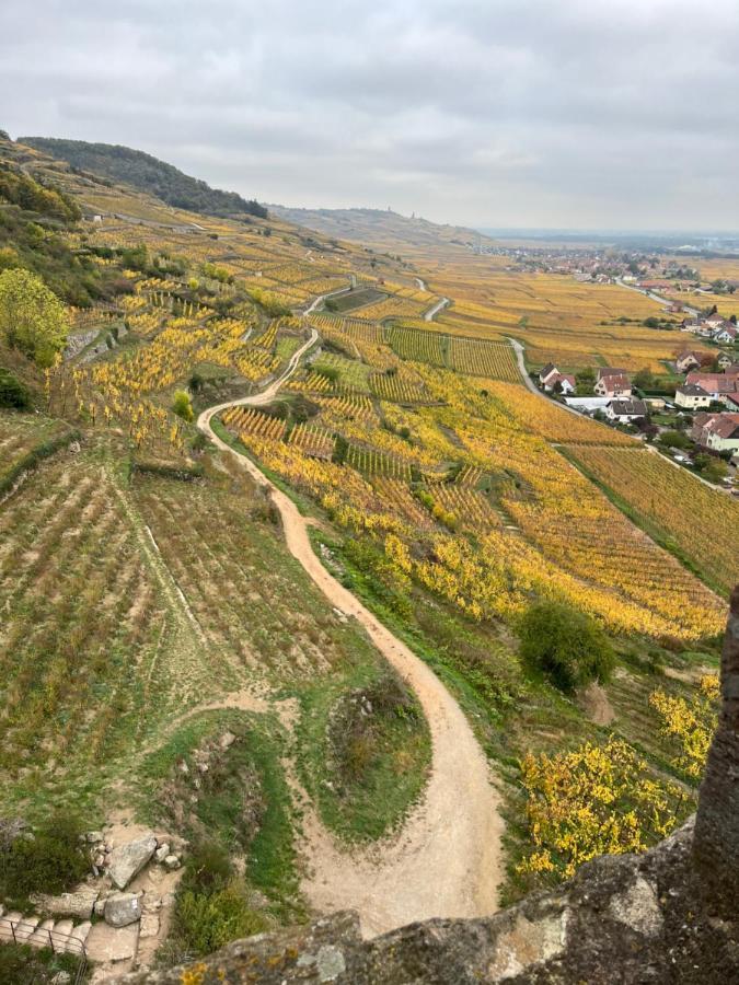 Gite De Montagne -Bellefosse Alsace Exteriör bild