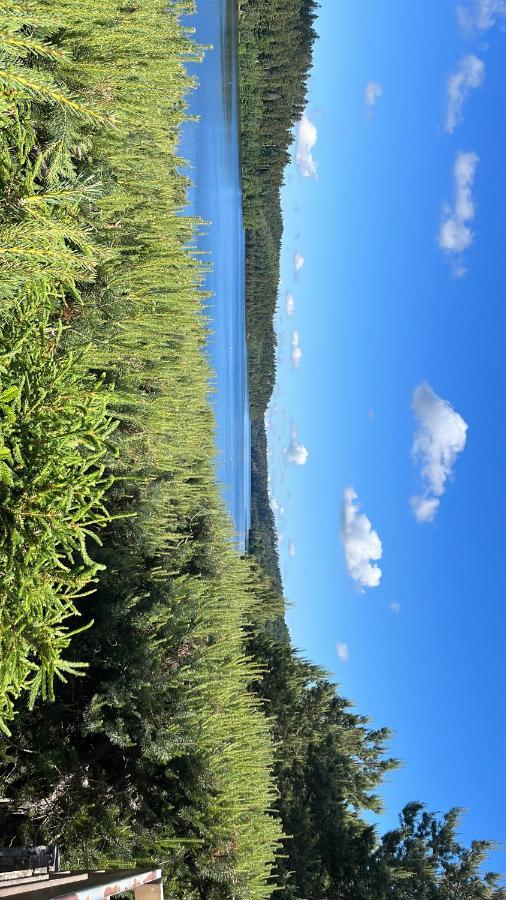 Gite De Montagne -Bellefosse Alsace Exteriör bild