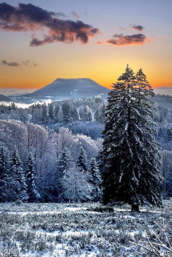 Gite De Montagne -Bellefosse Alsace Exteriör bild