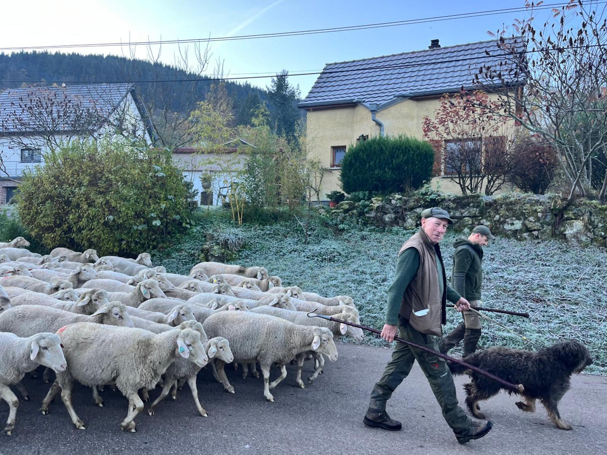 Gite De Montagne -Bellefosse Alsace Exteriör bild