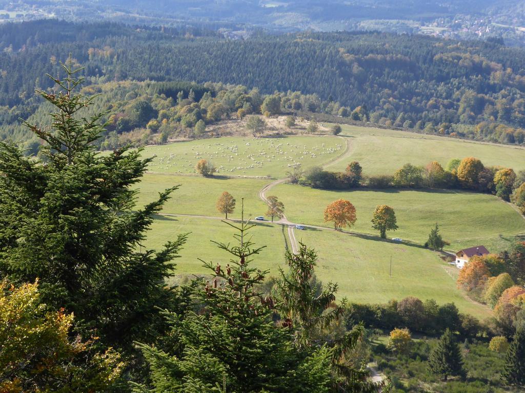 Gite De Montagne -Bellefosse Alsace Exteriör bild