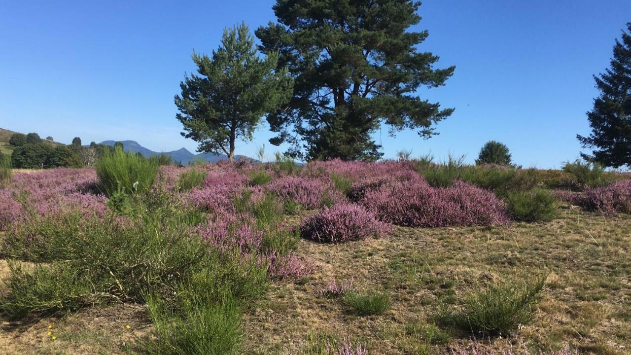 Gite De Montagne -Bellefosse Alsace Exteriör bild
