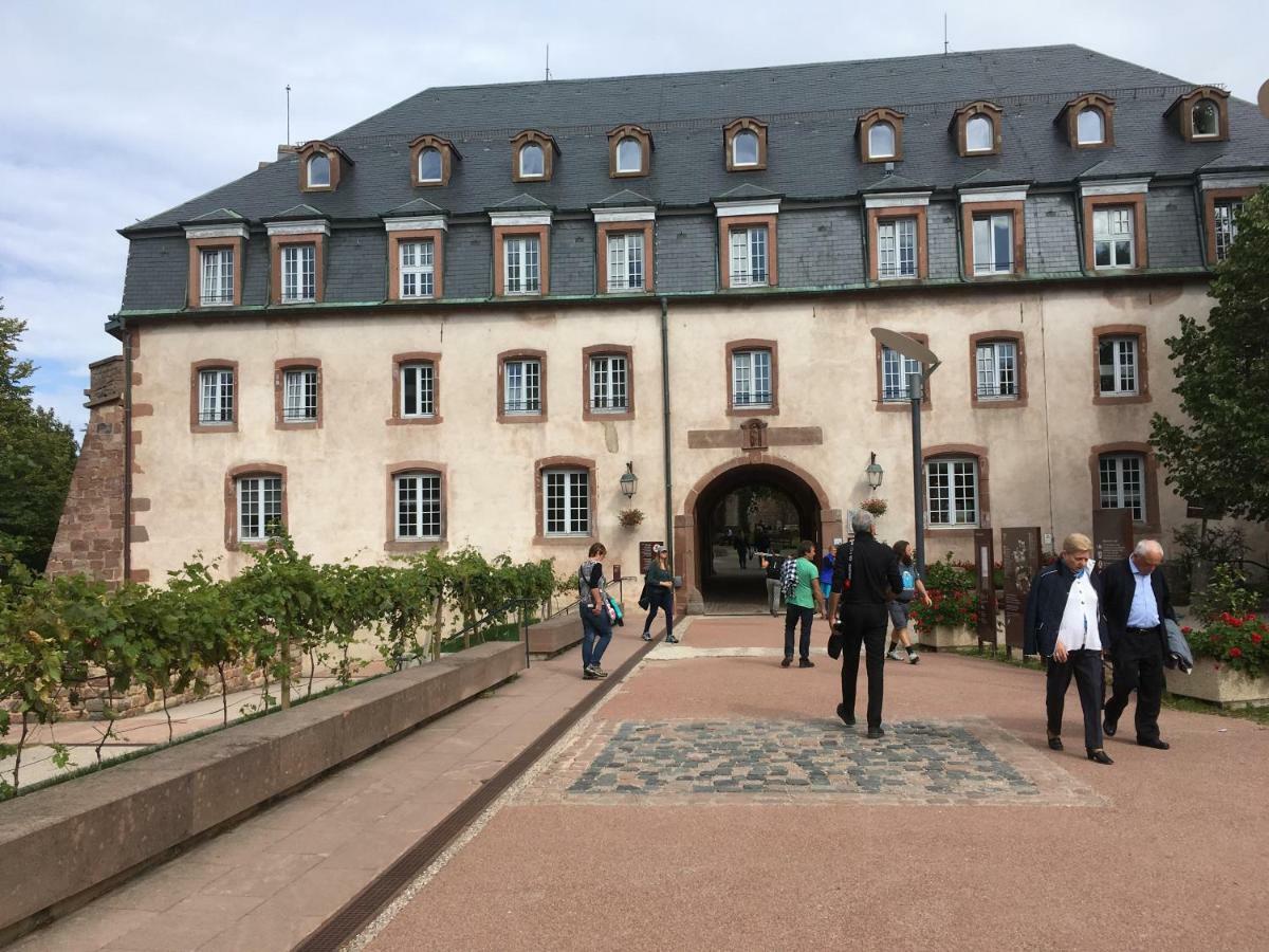 Gite De Montagne -Bellefosse Alsace Exteriör bild